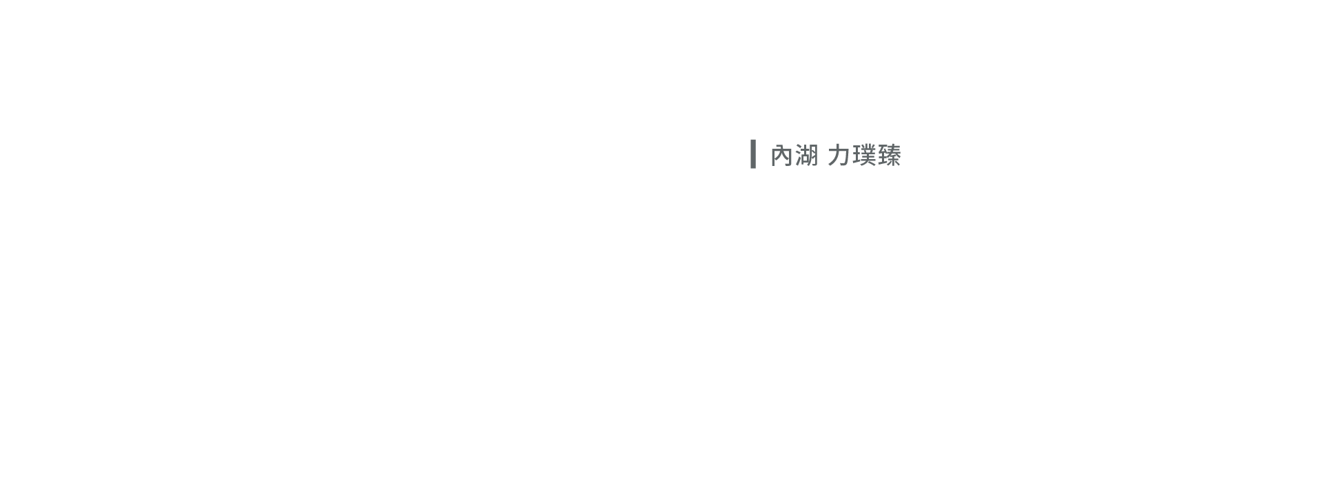2010 內湖 力璞臻
